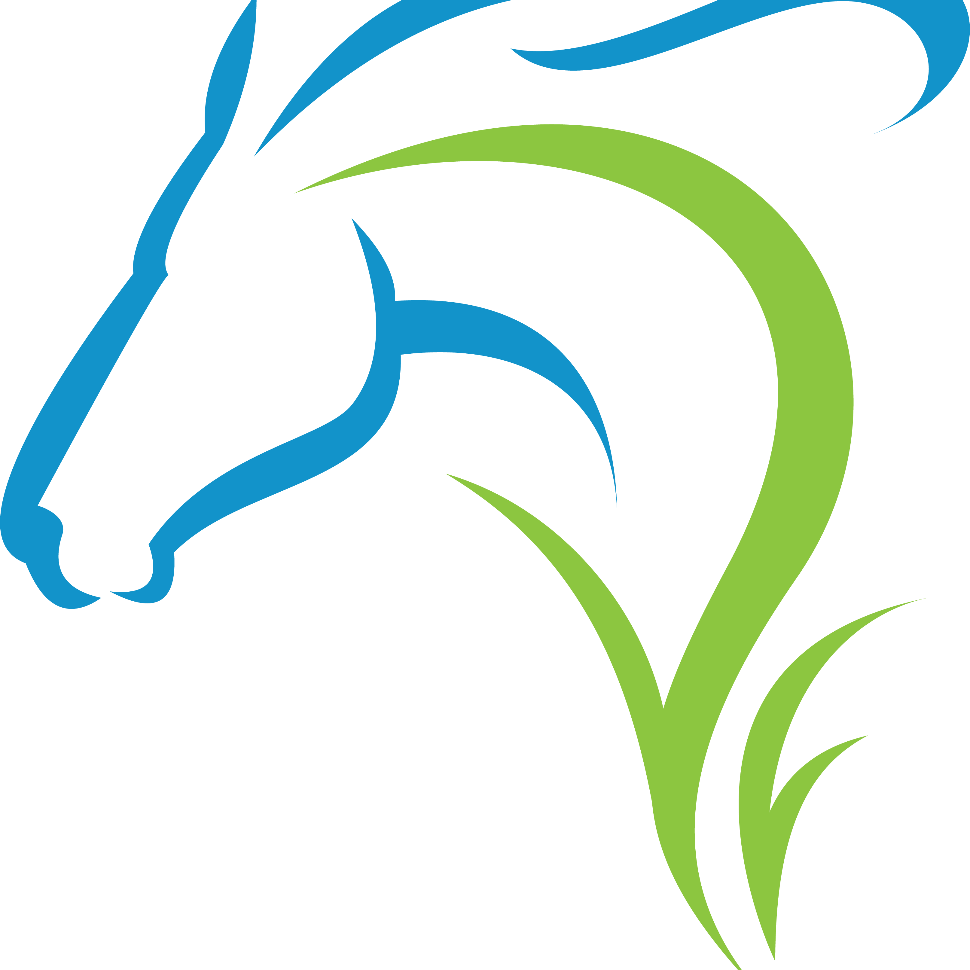 KBB-2021_horse-icon(color)