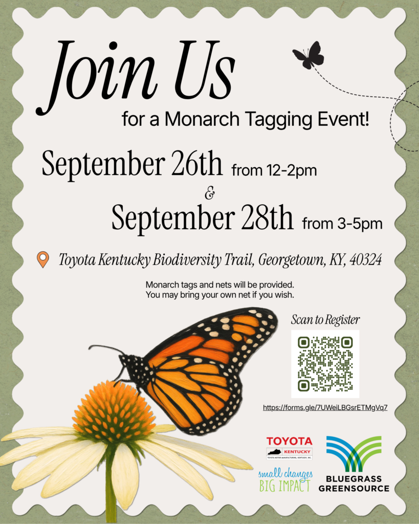 Monarch Tagging Event